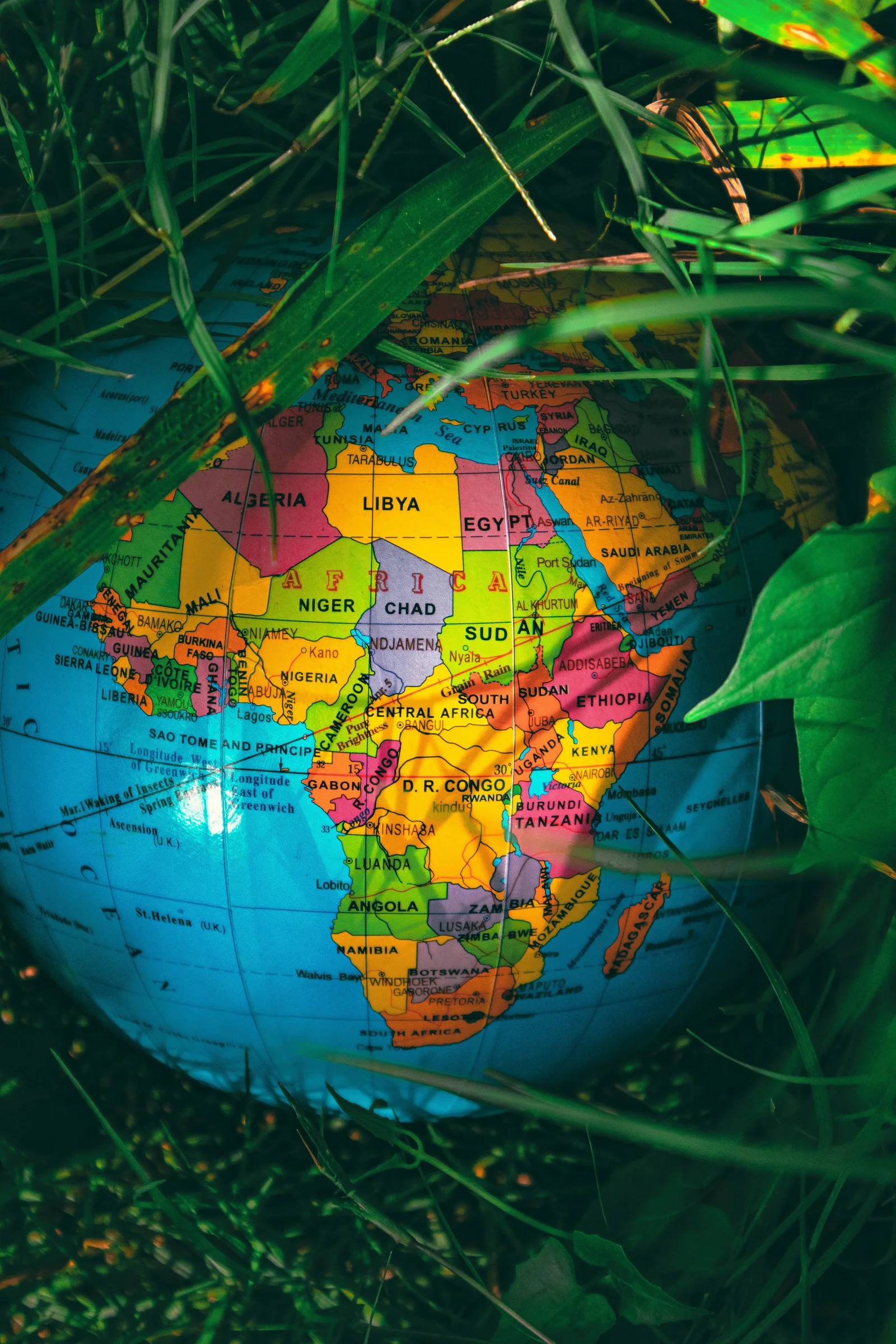 Africa-focused knowledge and strategy